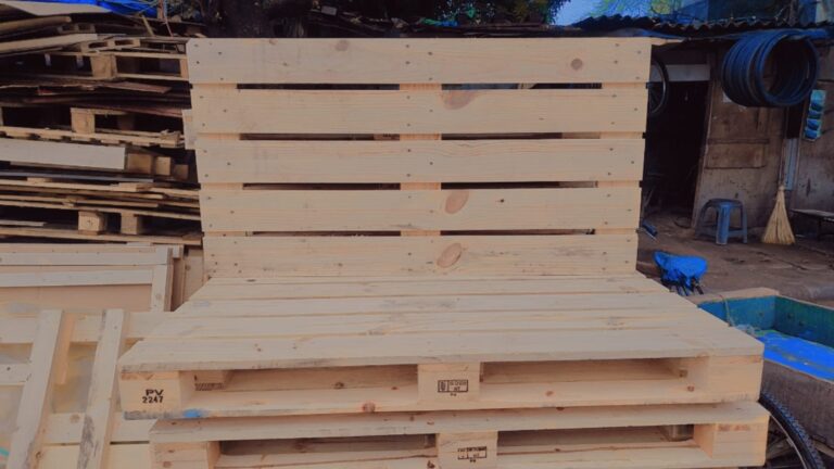 IMG-20241231-WA0051